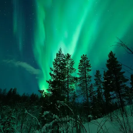 In Outdoor Paradise Near Tromso