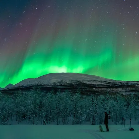 Lejlighed In Outdoor Paradise Near Tromsø